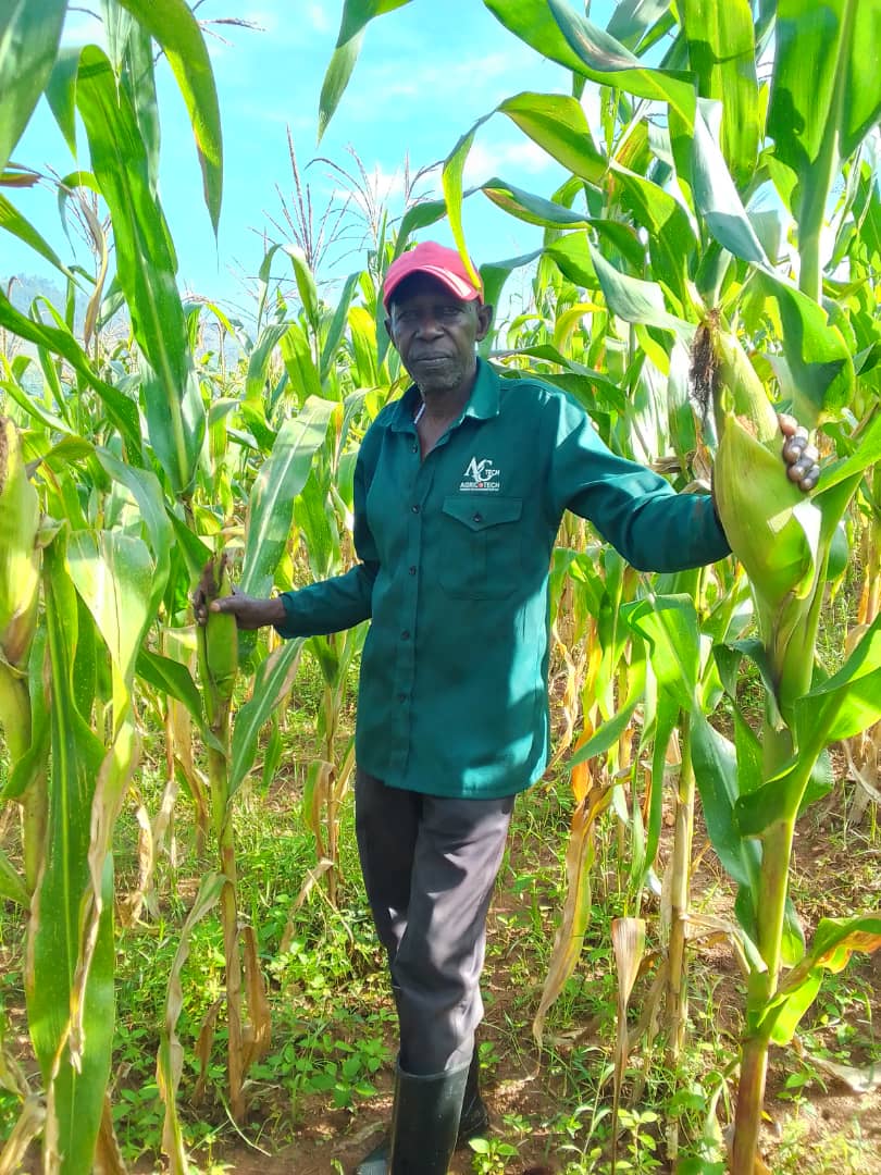 Agricotech farmer in a maize field