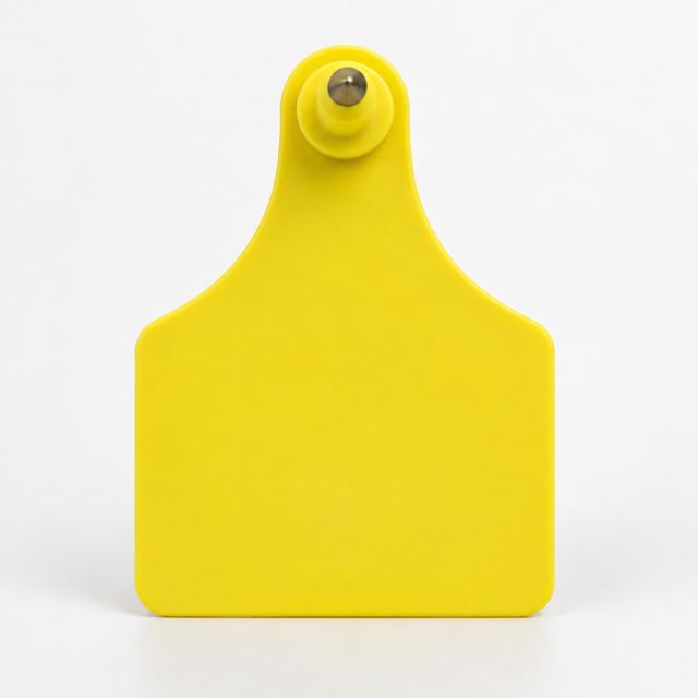 Animal Ear Tags — Illustration · Not a supplier photo