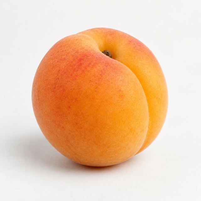 Apricots — Illustration · Not a supplier photo
