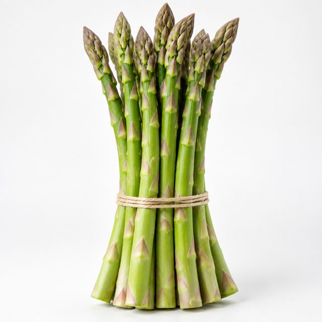 Asparagus — Illustration · Not a supplier photo