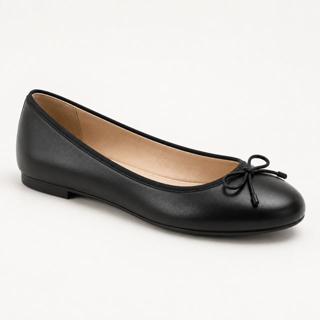 Ballet Flats — Illustration · Not a supplier photo