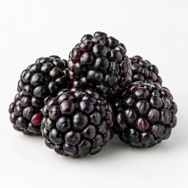 Blackberries — Illustration · Not a supplier photo