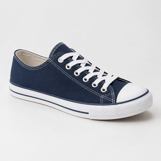 Canvas Sneakers — Illustration · Not a supplier photo