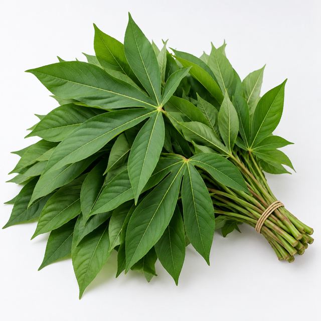 Cassava Leaves — Illustration · Not a supplier photo