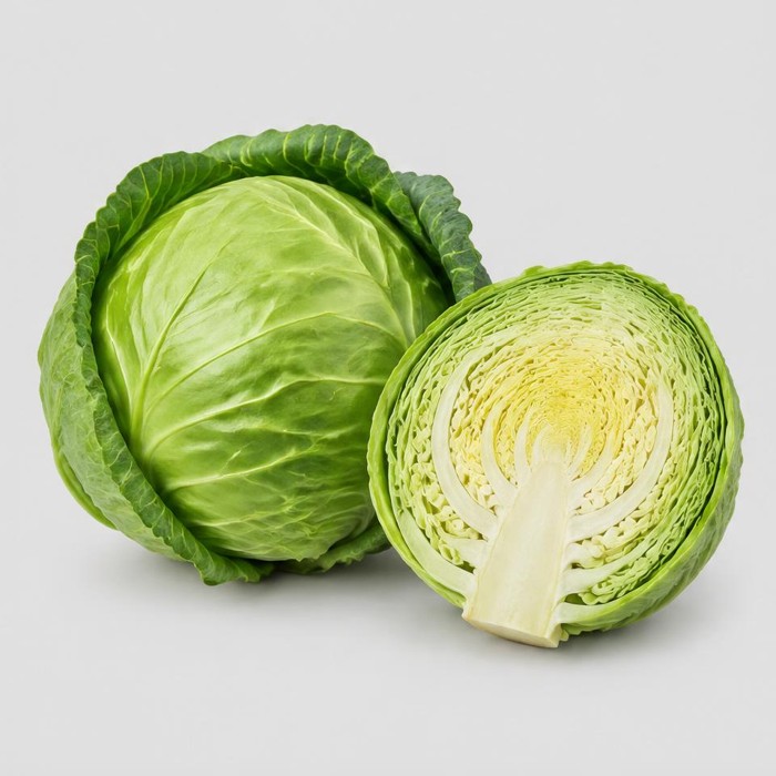 Cabbage — Illustration · Not a supplier photo