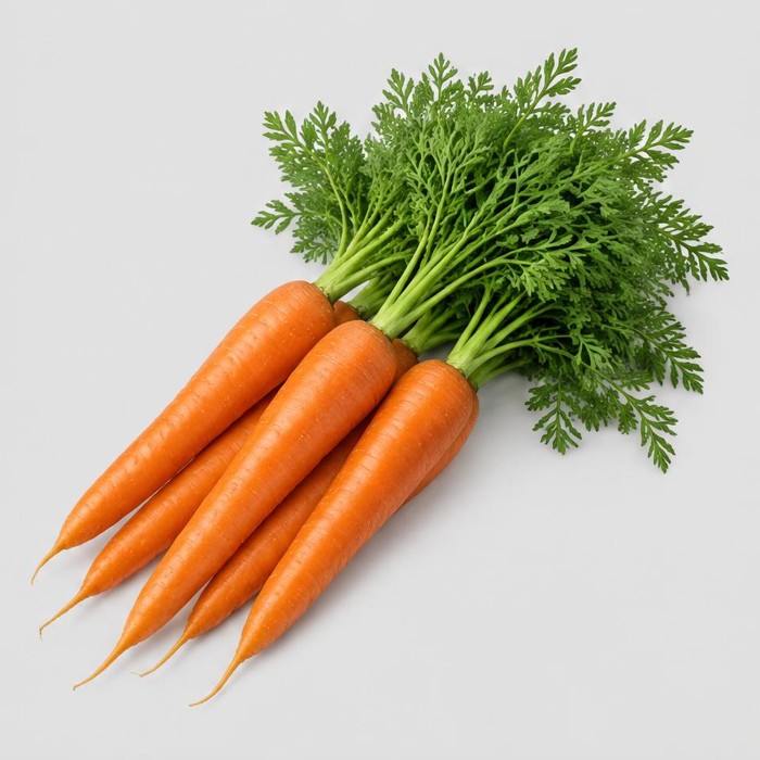Carrots — Illustration · Not a supplier photo