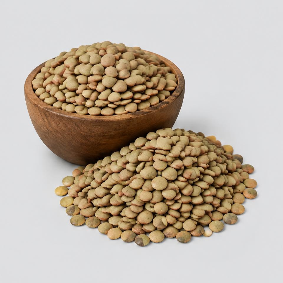 Lentils — Illustration · Not a supplier photo
