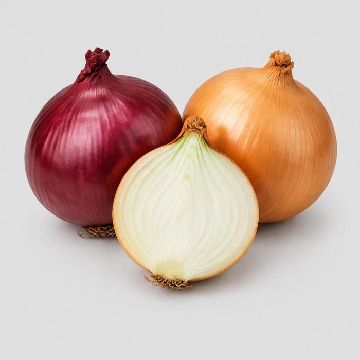 Onions — Illustration · Not a supplier photo