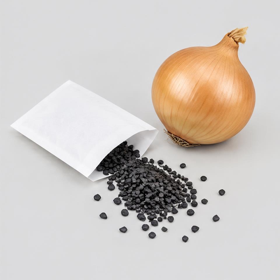 Onion Planting Seeds — Illustration · Not a supplier photo
