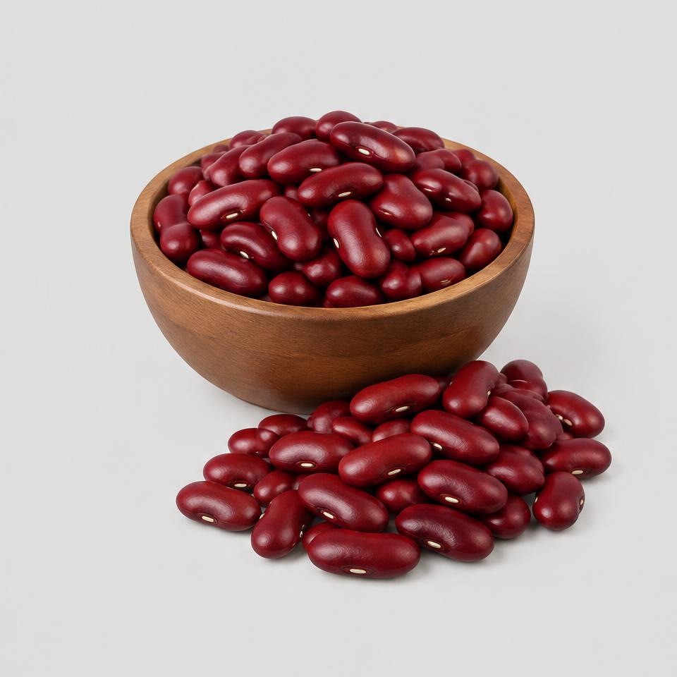Red Kidney Beans — Illustration · Not a supplier photo