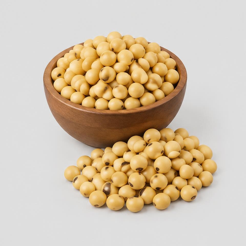 Soybeans — Illustration · Not a supplier photo