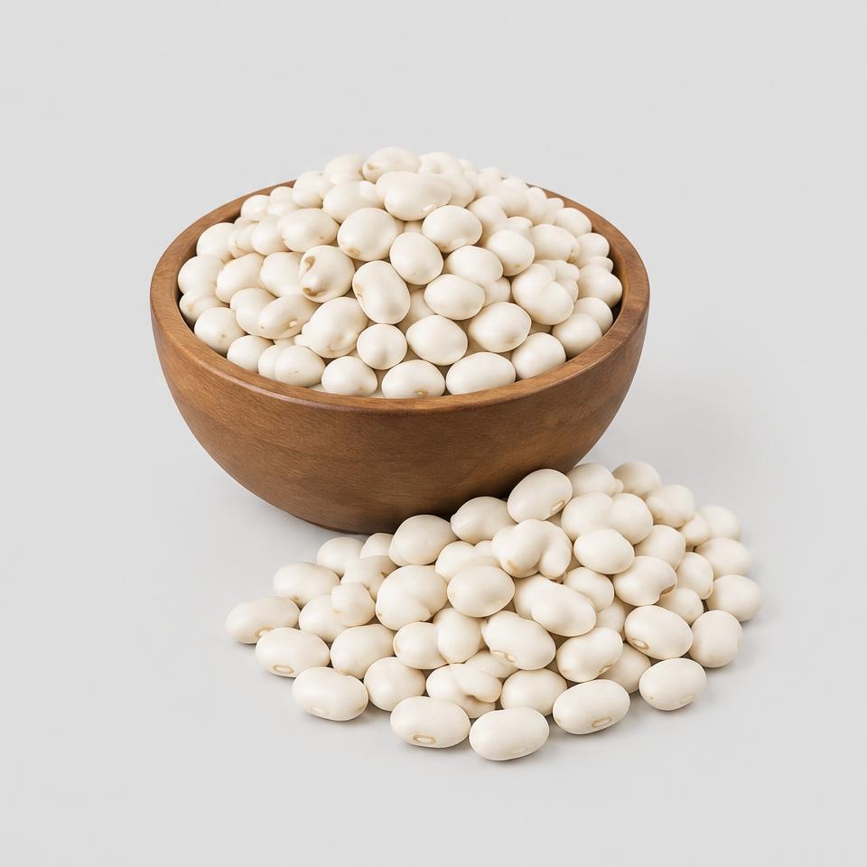 White Haricot Beans — Illustration · Not a supplier photo