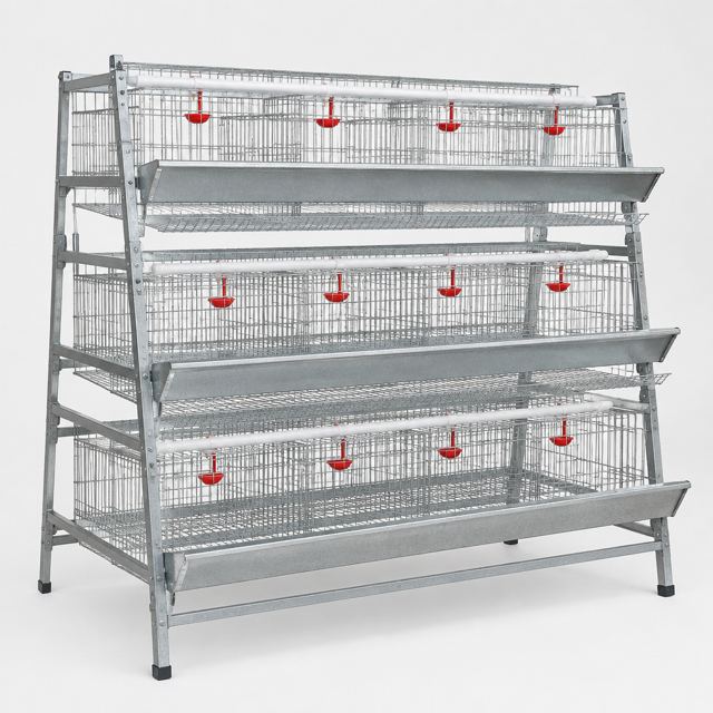Chicken Cage — Illustration · Not a supplier photo