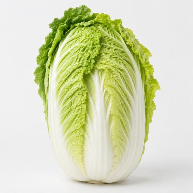 Chinese Cabbage — Illustration · Not a supplier photo