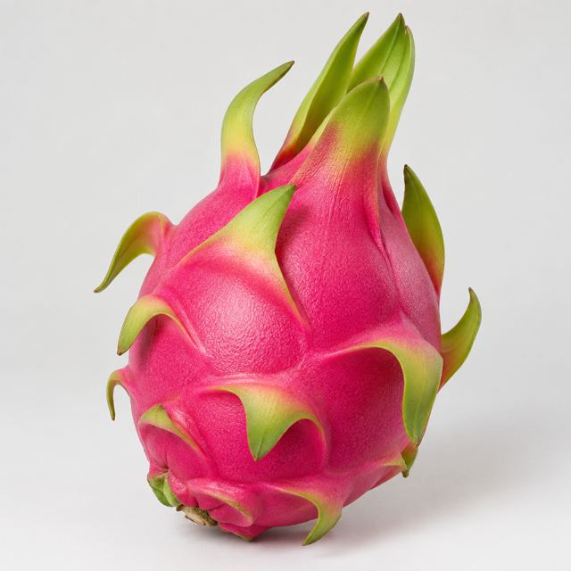 Dragon Fruit — Illustration · Not a supplier photo