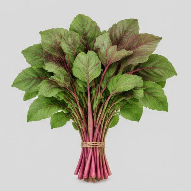 Amaranth Greens — Illustration · Not a supplier photo