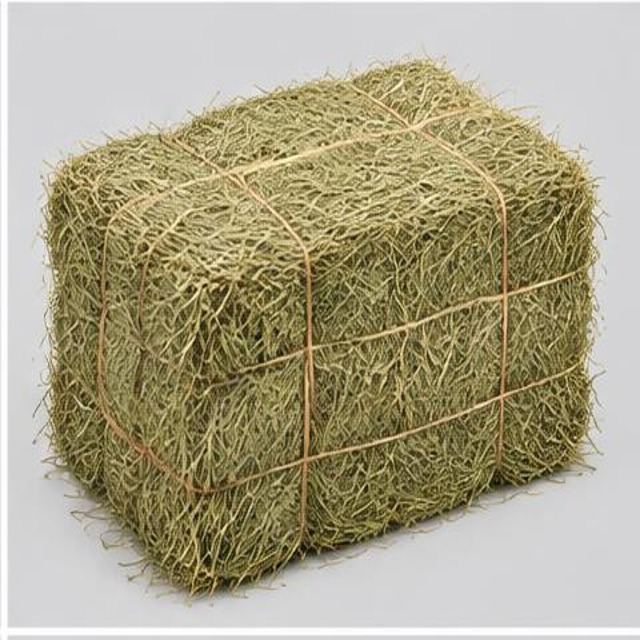 Dried Hay Bale — Illustration · Not a supplier photo