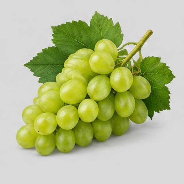 Grapes — Illustration · Not a supplier photo
