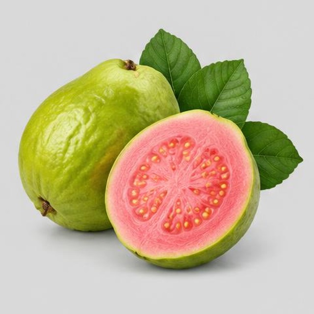 Guavas — Illustration · Not a supplier photo
