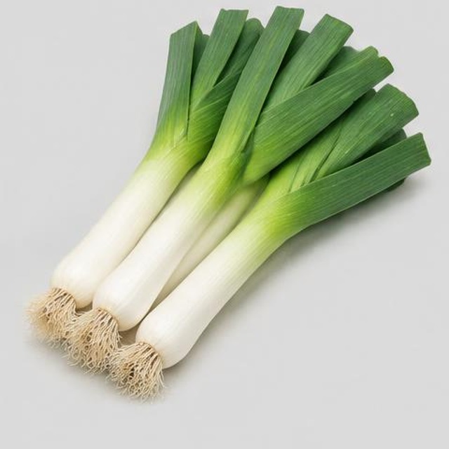 Leeks — Illustration · Not a supplier photo