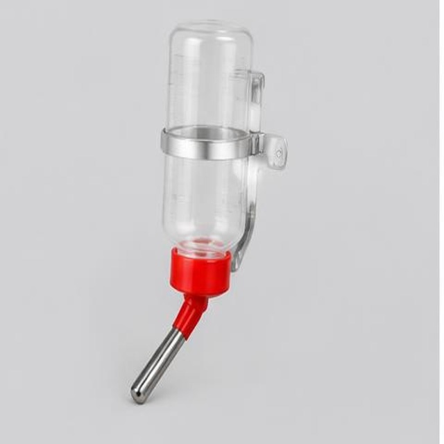 Rabbit Water Bottle — Illustration · Not a supplier photo