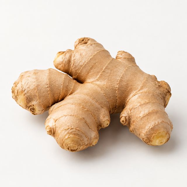 Ginger — Illustration · Not a supplier photo