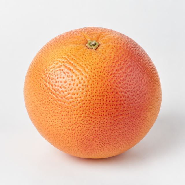 Grapefruit — Illustration · Not a supplier photo