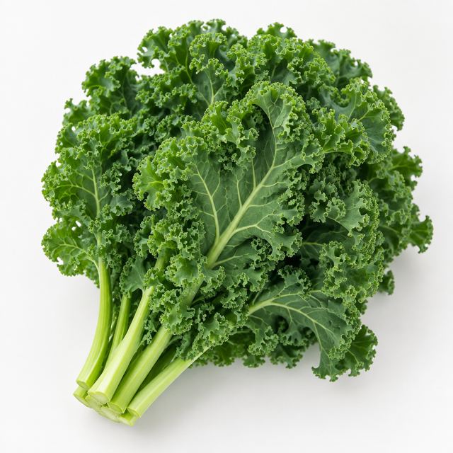 Kale — Illustration · Not a supplier photo