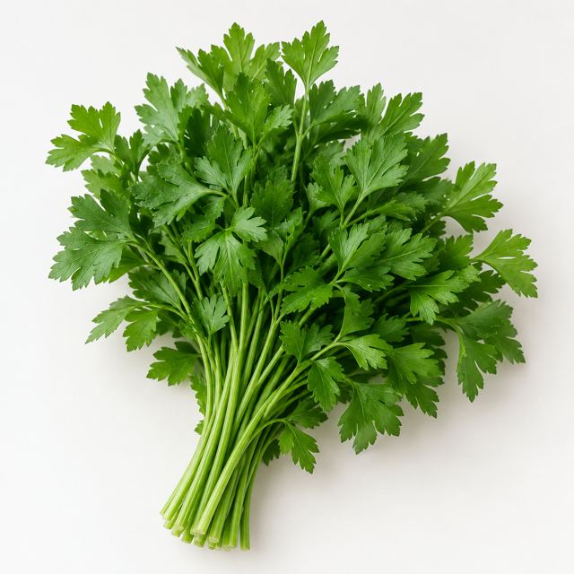 Parsley — Illustration · Not a supplier photo