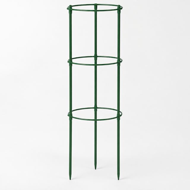 Plant Support Stakes — Illustration · Not a supplier photo