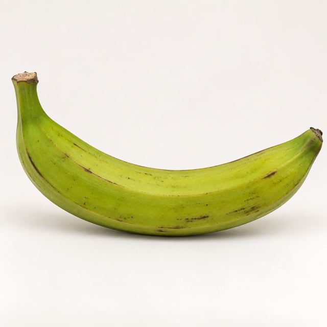 Plantains — Illustration · Not a supplier photo