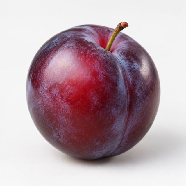 Plums — Illustration · Not a supplier photo