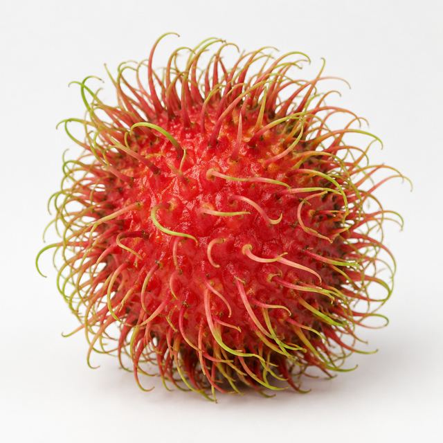 Rambutan — Illustration · Not a supplier photo