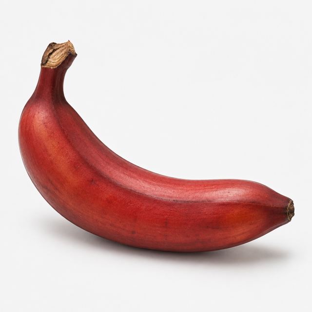 Red Bananas — Illustration · Not a supplier photo