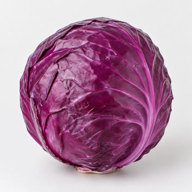 Red Cabbage — Illustration · Not a supplier photo