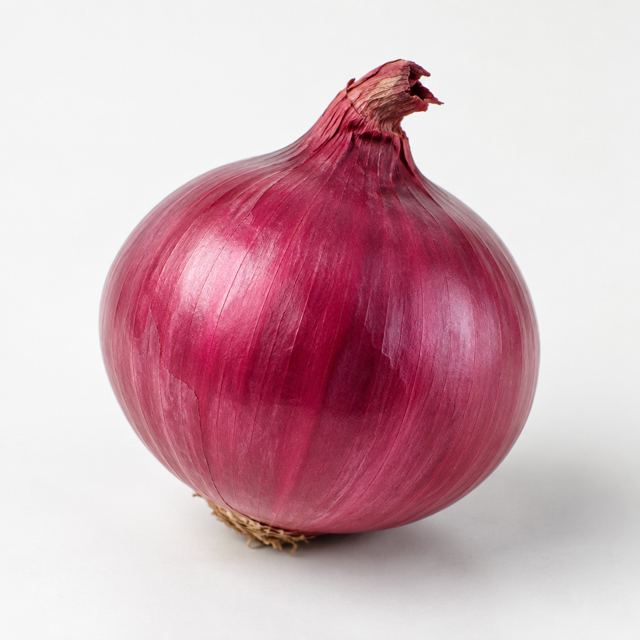 Red Onions — Illustration · Not a supplier photo
