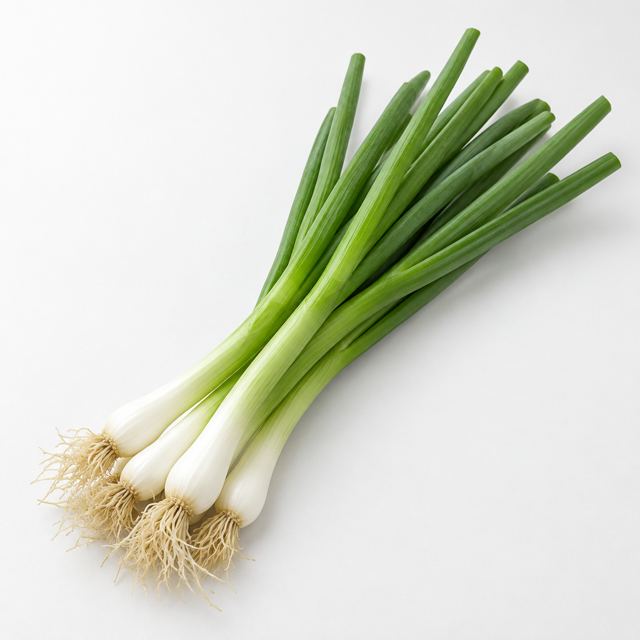 Spring Onions — Illustration · Not a supplier photo