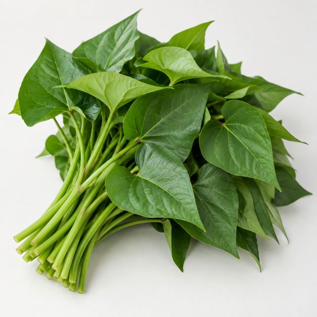 Sweet Potato Leaves — Illustration · Not a supplier photo