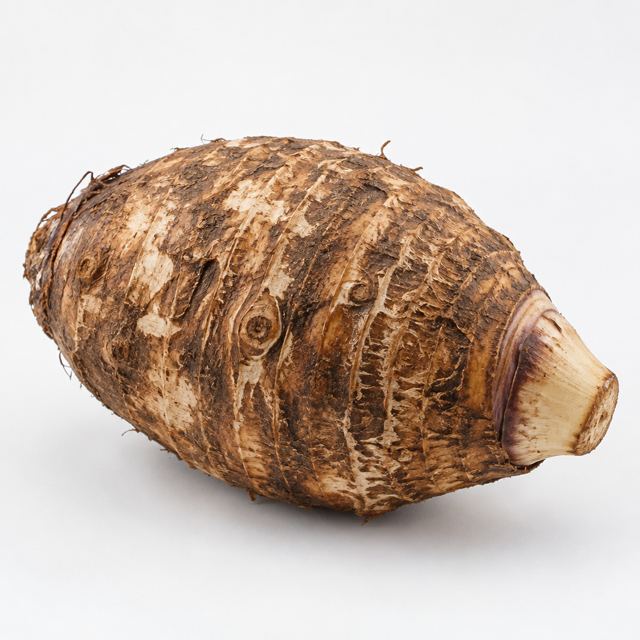 Taro Roots — Illustration · Not a supplier photo