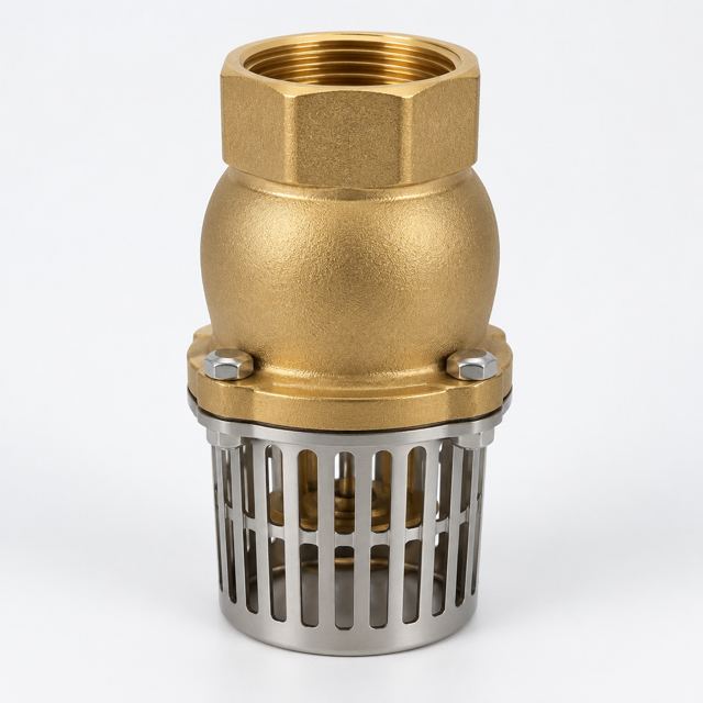 Water Pump Foot Valve — Illustration · Not a supplier photo
