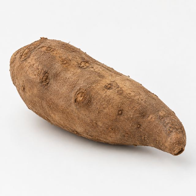 Yams — Illustration · Not a supplier photo